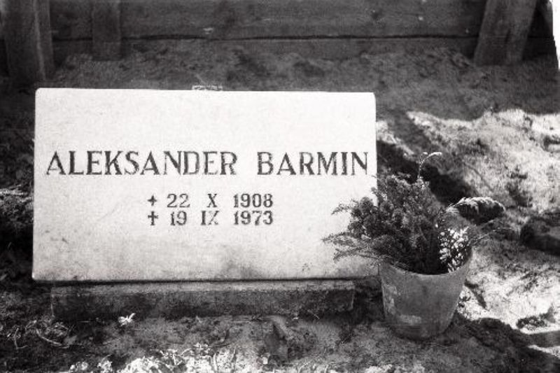 Файл:Надгробие на могиле А.В. Бармина.jpg